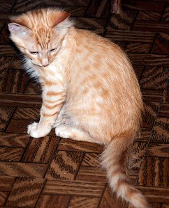 Something old, something new